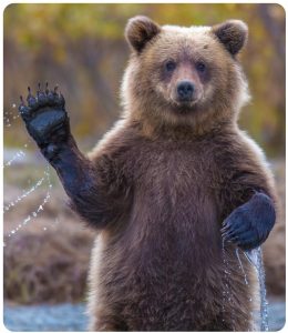 Тепловизор в Нижнем Новгороде